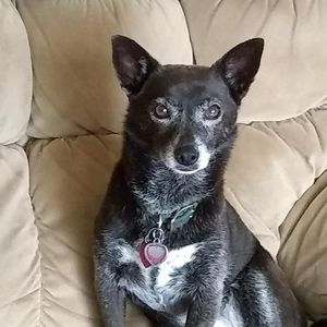 Meet your Posher, Tracy